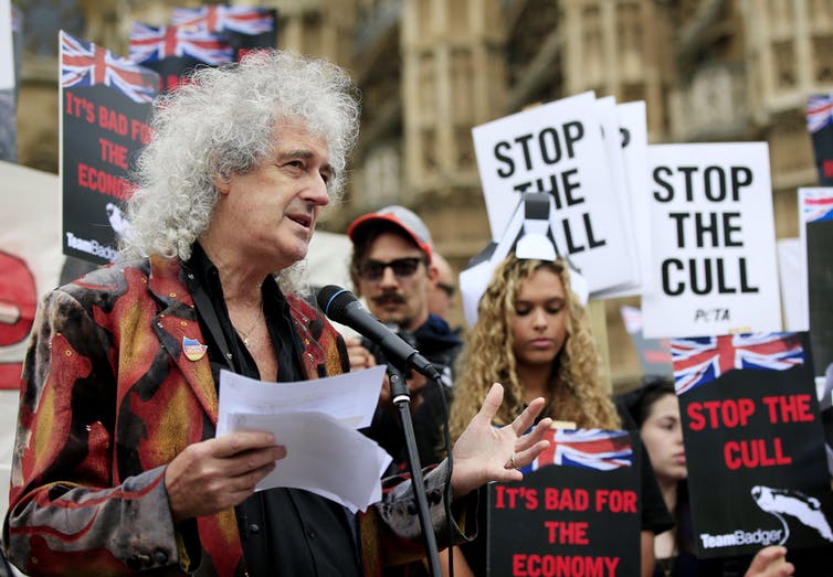 Queen guitarist Brian May leads a Team Badger protest march mimicking a funeral parade, to mark the killing of 2,263 badgers in 2013/14.