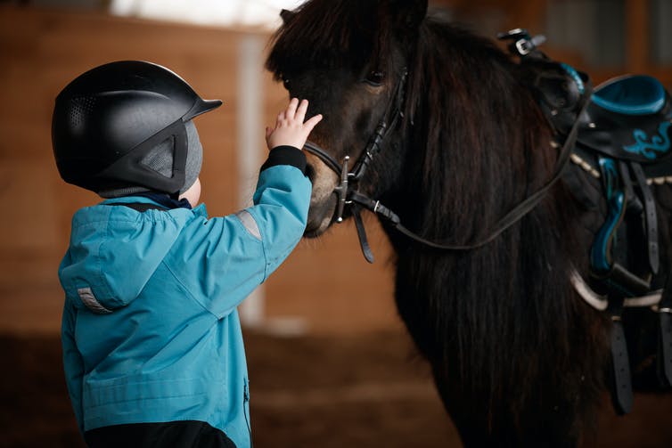 Young boy stroking horse on the nose before a horse therapy session