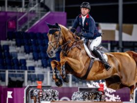 Elite general performance horses why they are supreme athletes –