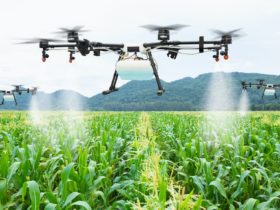 Making use of AI in agriculture could enhance worldwide meals