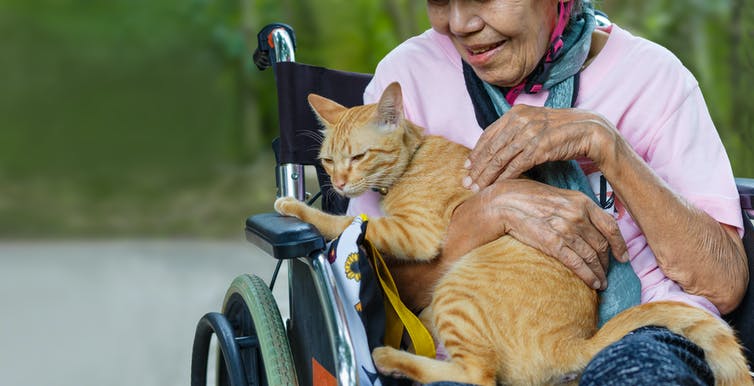 Elderly women in wheelchair cuddling a cat
