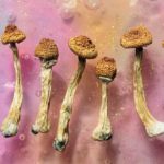 Psychedelics how they act on the brain to relieve depression