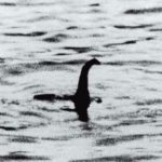 The Loch Ness monster a fashionable history