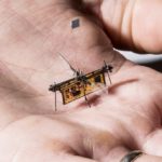 Five of the worlds tiniest robots