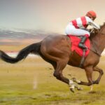 The horseracing industry is disregarding what science says about whipping