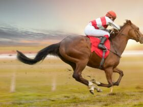 The horseracing industry is disregarding what science says about whipping