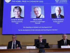 Nobel prize awarded for click chemistry – an environmentally friendly
