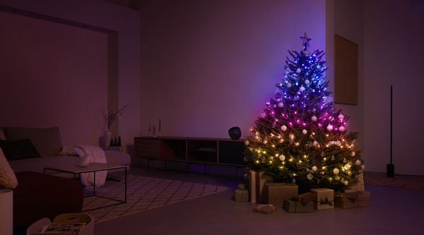 With Philips Hue and these other lights Christmas becomes magical