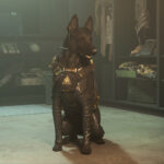 After superheroes pets are also coming to Call of Duty