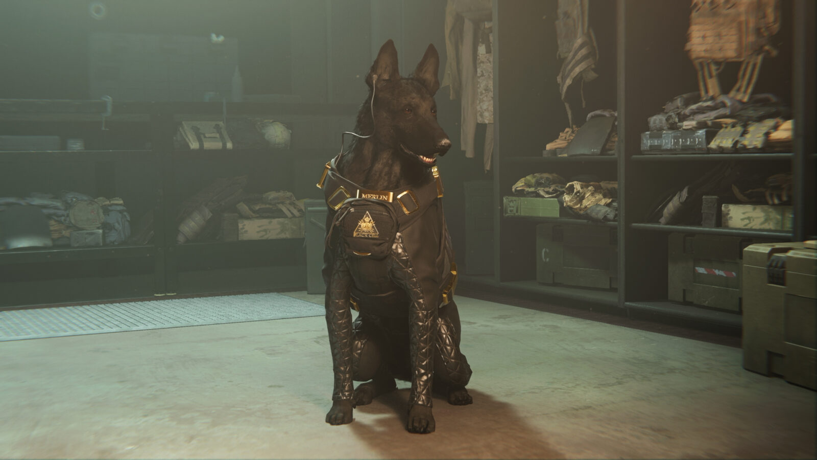 After superheroes pets are also coming to Call of Duty