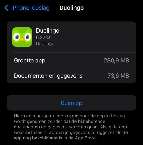 Duolingo app clean up iPhone
