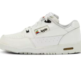 Special Apple sneakers under the hammer for a hefty sum.webp