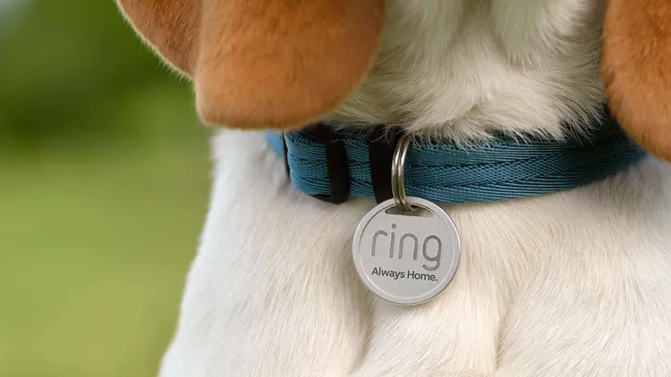 Ring will make gadget for dogs in addition to video