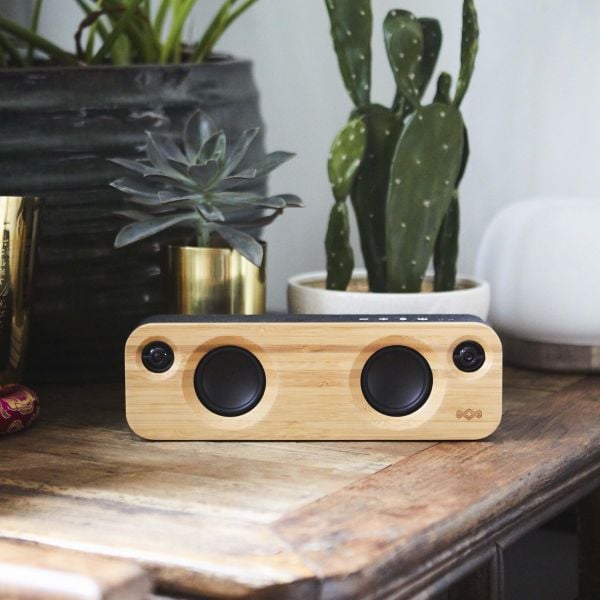 Bluetooth speaker made of bamboo