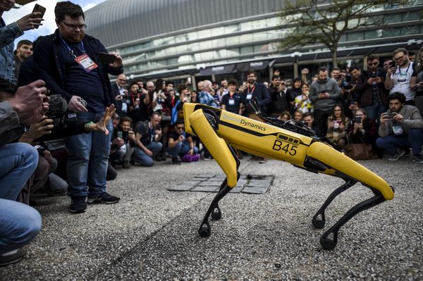 Terminator in real life: robots from Boston Dynamics start thinking