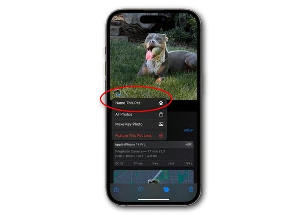 Adding dog or cat to photos app